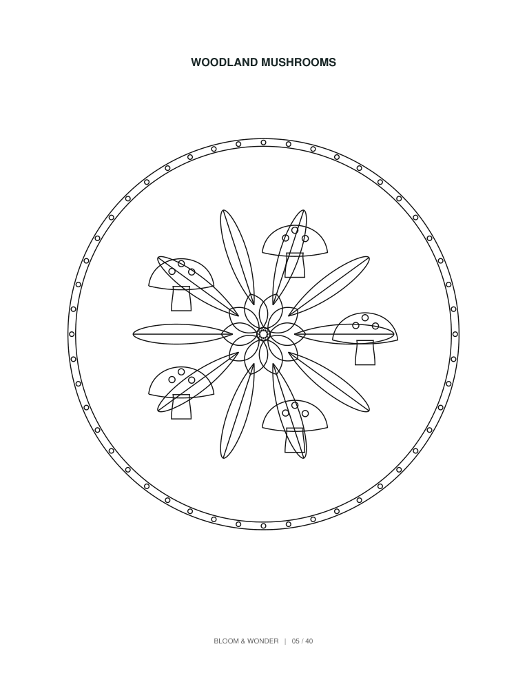Botanical Colouring Book KDP Interior | 40 Floral Mandala Designs | 82 Pages | 8.5x11 & 8x10 PDF