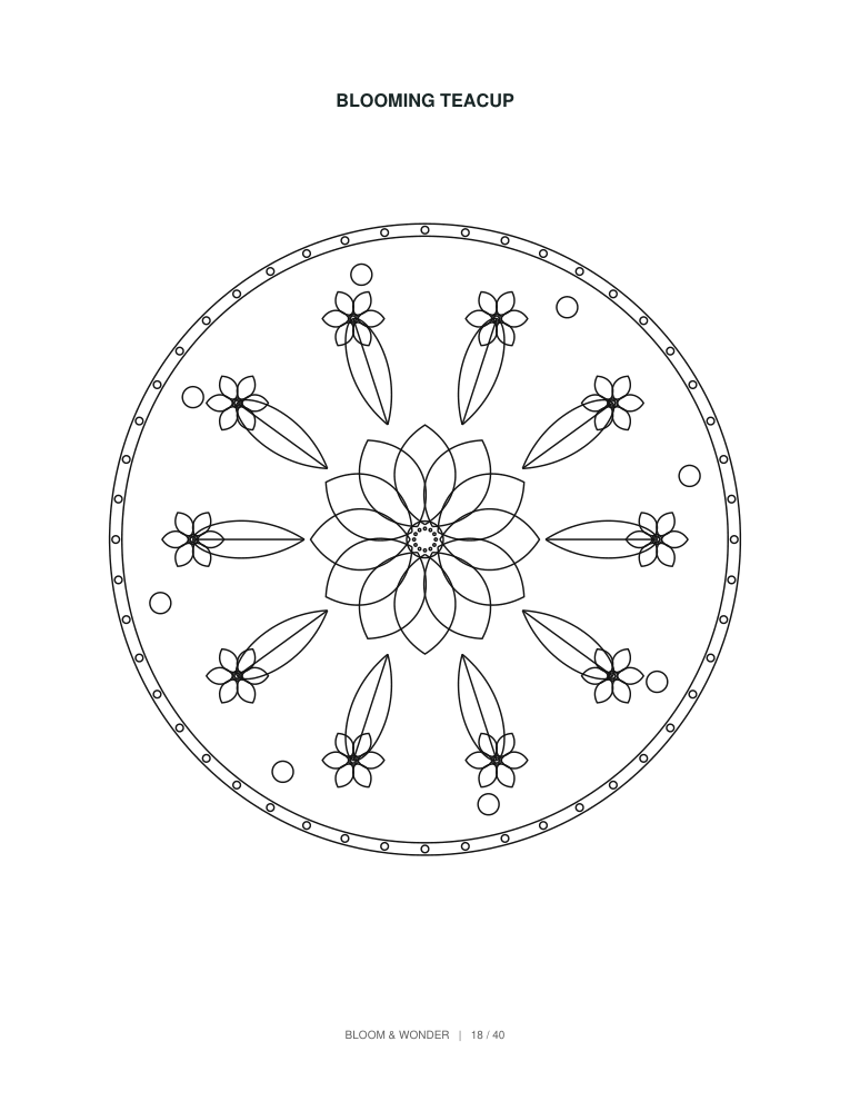 Botanical Colouring Book KDP Interior | 40 Floral Mandala Designs | 82 Pages | 8.5x11 & 8x10 PDF